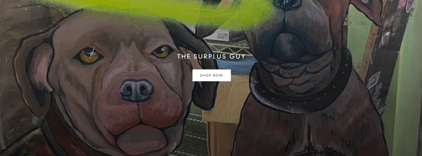 thesurplusguy usa.shop banner